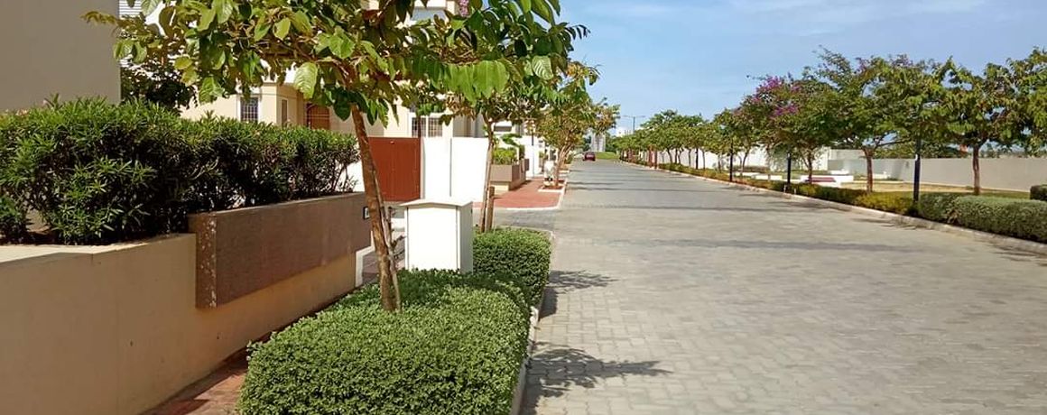 Tree-lined internal avenue – earlier phase, actual photograph