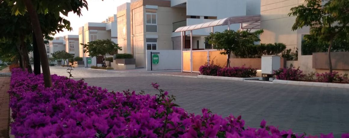 Landscaped bougainvillea beds along the internal road – earlier phase, actual photograph